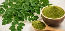 Rhodiola Ingredient