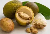 Maqui Berry Ingredient
