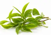Haematococcus Ingredient